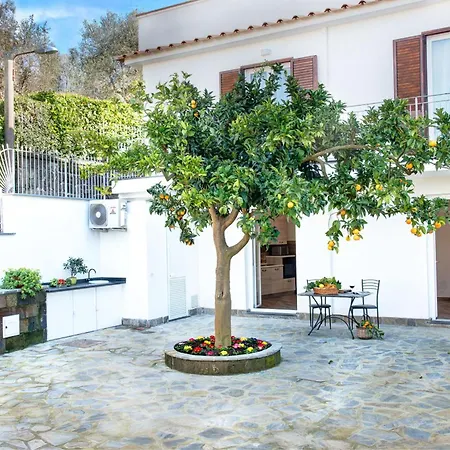Clementine Casa de Campo